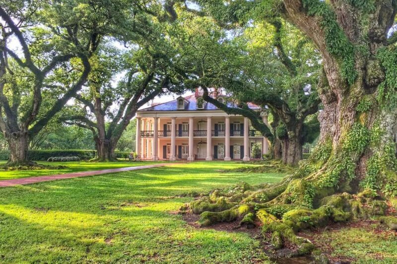 New Orleans: Swamp Boat Ride & Oak Alley Plantation Tour - An In-Depth Look at the Tour Experience