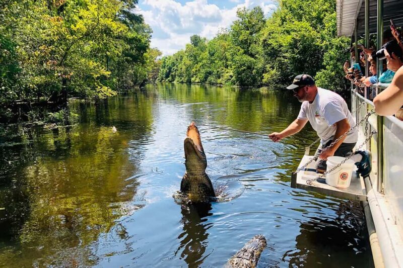 New Orleans: Swamp Boat Ride & Oak Alley Plantation Tour - FAQ