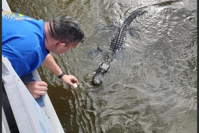 New Orleans Swamp Tour Boat Adventure - Practical Tips for Travelers