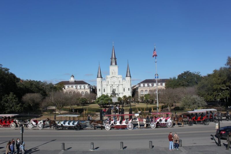New Orleans: Traditional City and Estate Tour - Introduction: What the Tour Offers