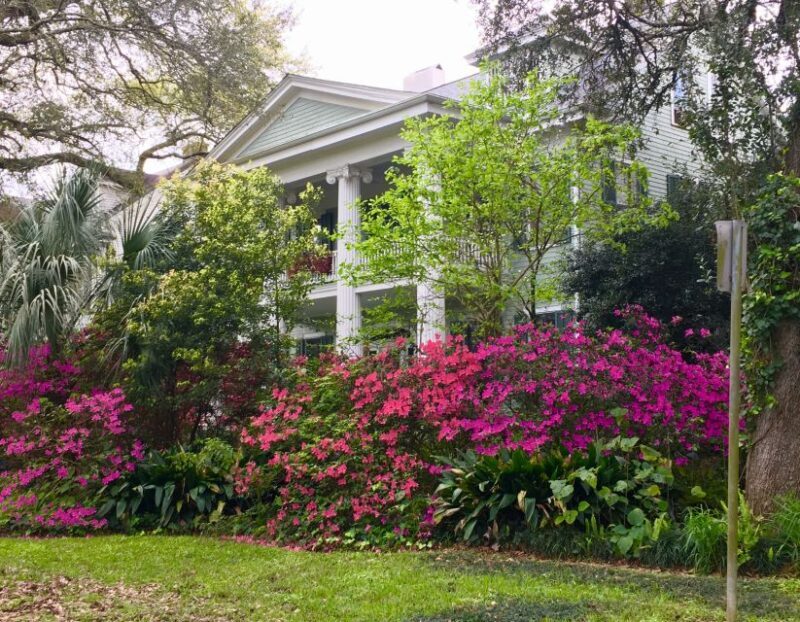 New Orleans: Traditional City and Estate Tour - What You Get and What You Don’t