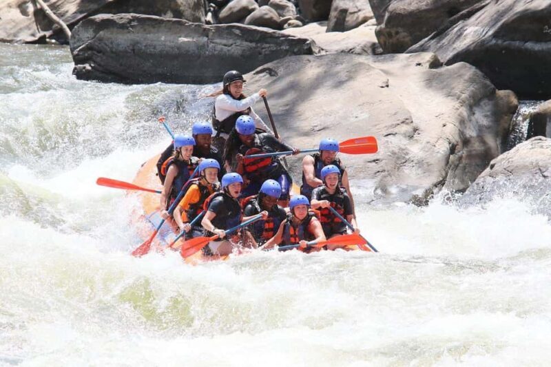 New River Gorge: Lower New River Full-Day Rafting Tour - Who Will Love This Tour?