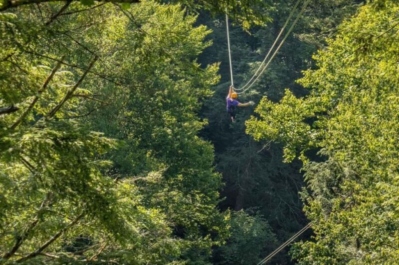 New River Gorge: TreeTops Zipline Tour - The Practical Side: Whats Included and What to Expect
