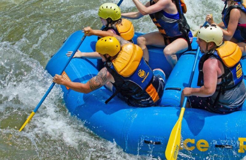 New River Gorge Whitewater Rafting - Lower New Full Day - The Sum Up