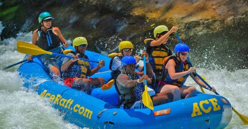 New River Gorge Whitewater Rafting - Lower New Half Day - What the Reviews Say