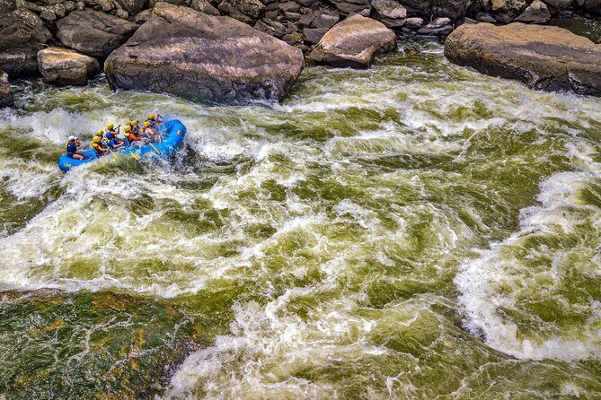 New River Gorge Whitewater Rafting, WV - Lower New Full Day - Key Points