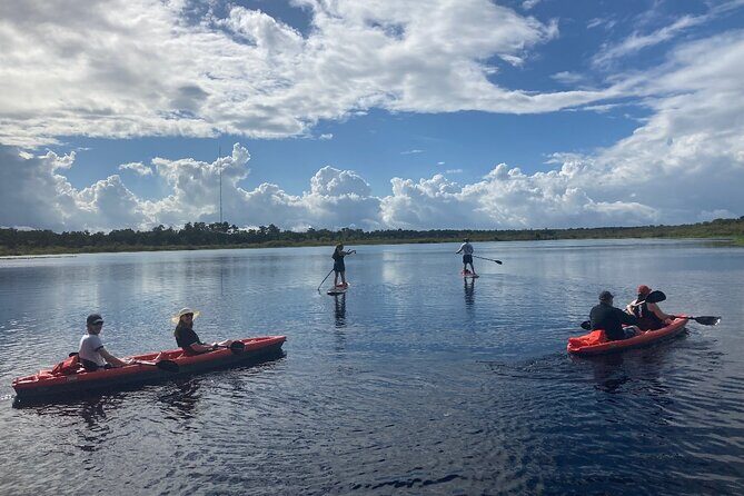 New Smyrna Dolphin and Manatee Kayak and SUP Adventure Tour - Exploring the Tour Overview