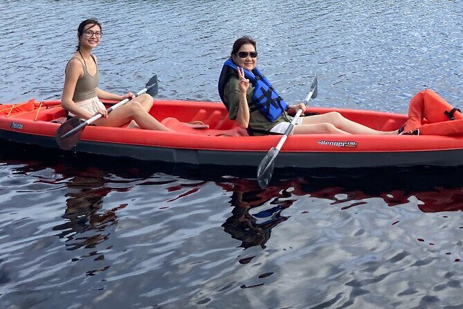 New Smyrna Dolphin and Manatee Kayak and SUP Adventure Tour - Pricing and Value