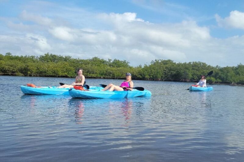 New Smyrna: Half-Day Guided SUP or Kayak Waterways Tour - The Actual Gear and Comfort