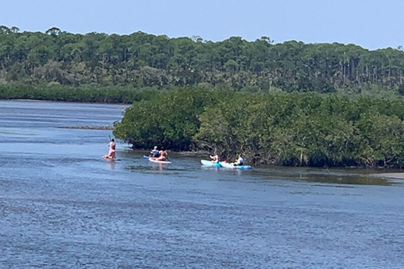 New Smyrna: Half-Day Guided SUP or Kayak Waterways Tour - What Past Participants Say