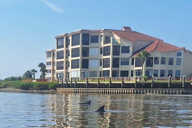 New Smyrna Mangrove Paddle & Mimosa Tour - What’s Included and What’s Not