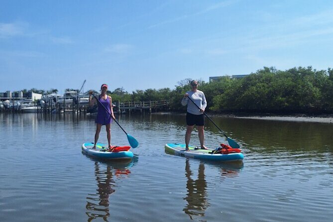New Smyrna Mangrove Paddle & Mimosa Tour - Practical Tips for Participants