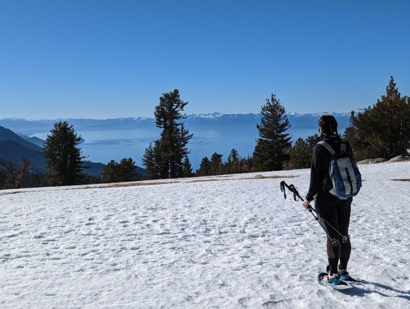 New Washoe City: Chickadee Ridge Beginner Snowshoeing Hike - What’s Included and Practical Details