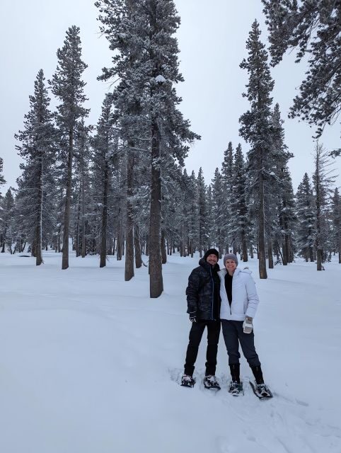 New Washoe City: Chickadee Ridge Beginner Snowshoeing Hike - Who Should Consider This Tour?