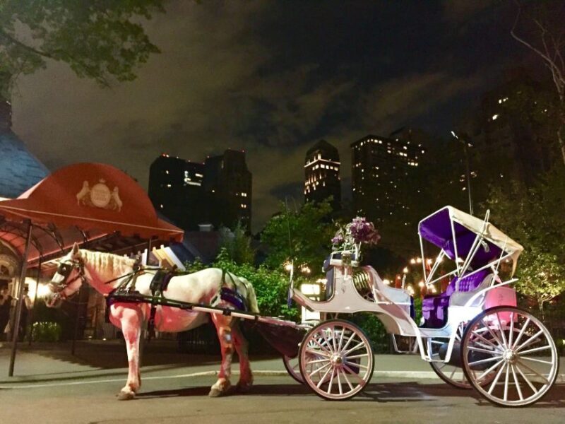New York: Carriage Ride in Central Park - Who Will Love This Experience?