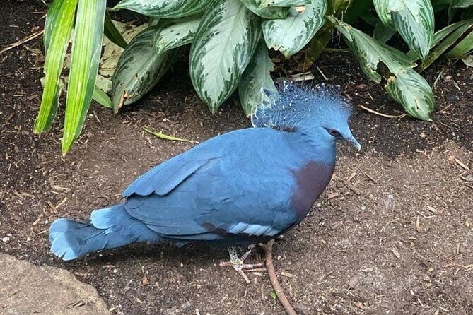 New York Central Park Zoo Ticket - Key Points