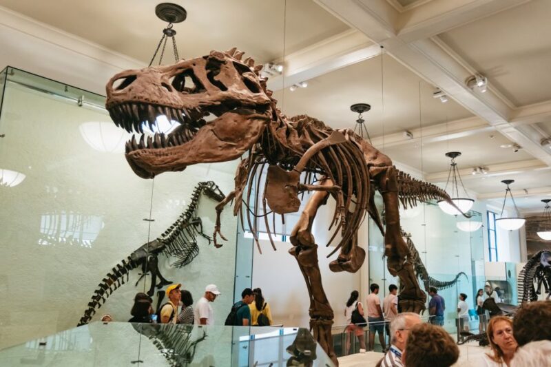 New York City: American Museum of Natural History Ticket - A Walk Through the Museums Highlights