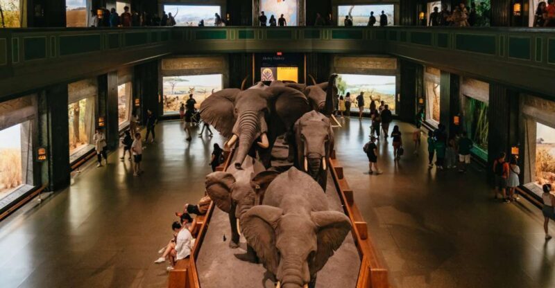 New York City: American Museum of Natural History Ticket - Who Should Visit?