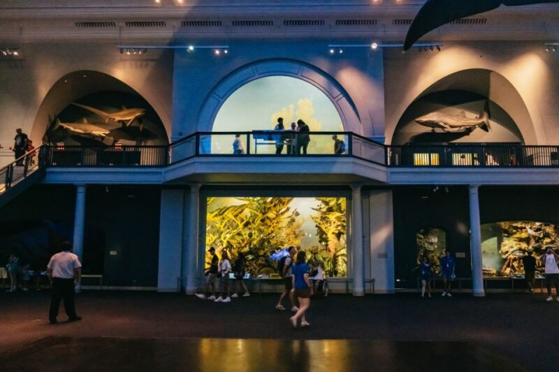 New York City: American Museum of Natural History Ticket - Final Thoughts: Is It Worth It?