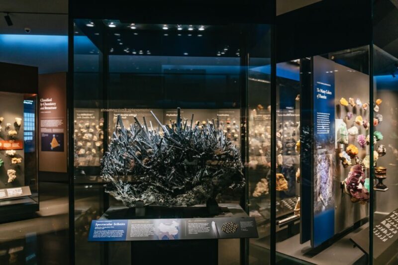 New York City: American Museum of Natural History Ticket - FAQ