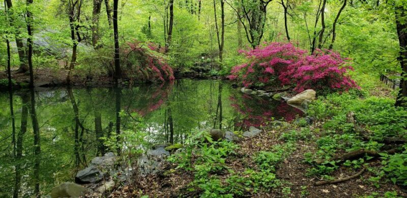 New York City: Central Park Walking Tour - FAQ