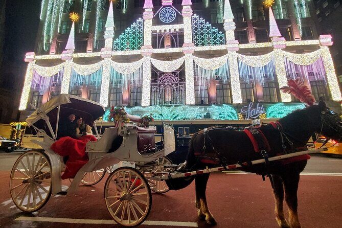 New York City Christmas Lights Private Horse Carriage Ride - Introduction