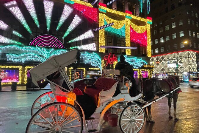 New York City Christmas Lights Private Horse Carriage Ride - Key Points