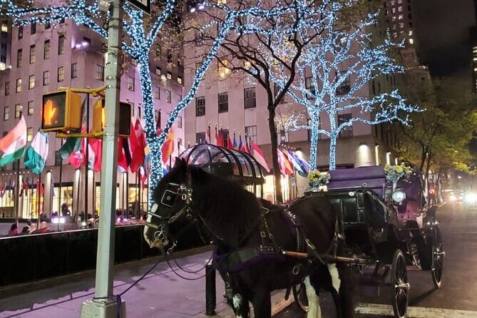 New York City Christmas Lights Private Horse Carriage Ride - Authentic Experiences & What Travelers Say