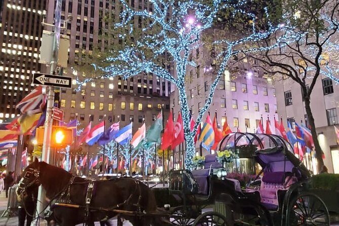 New York City Christmas Lights Private Horse Carriage Ride - Price & Value Analysis