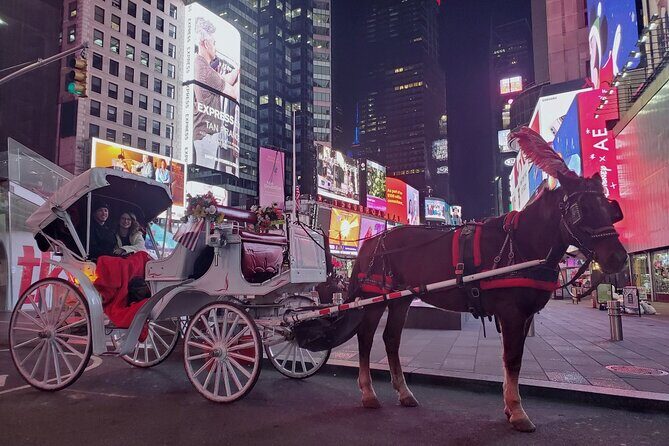 New York City Christmas Lights Private Horse Carriage Ride - Who Would Love This Tour?
