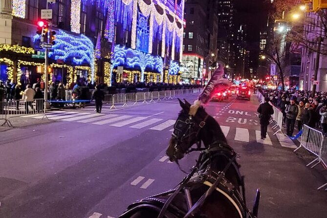 New York City Christmas Lights Private Horse Carriage Ride - The Sum Up