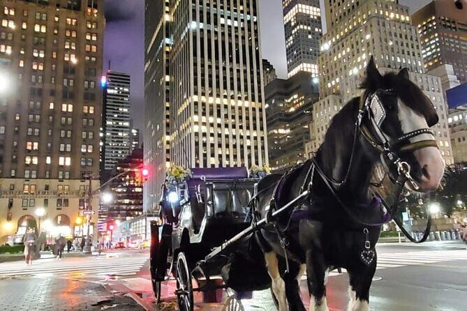 New York City Christmas Lights Private Horse Carriage Ride - FAQ