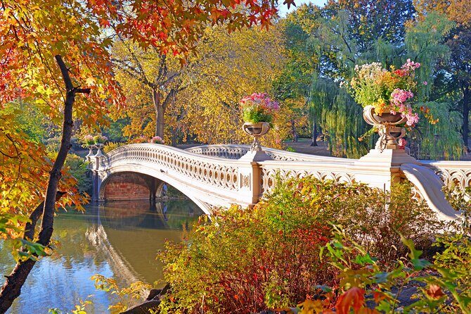 New York City Guided Electric Scooter Tour of Central Park - Key Points