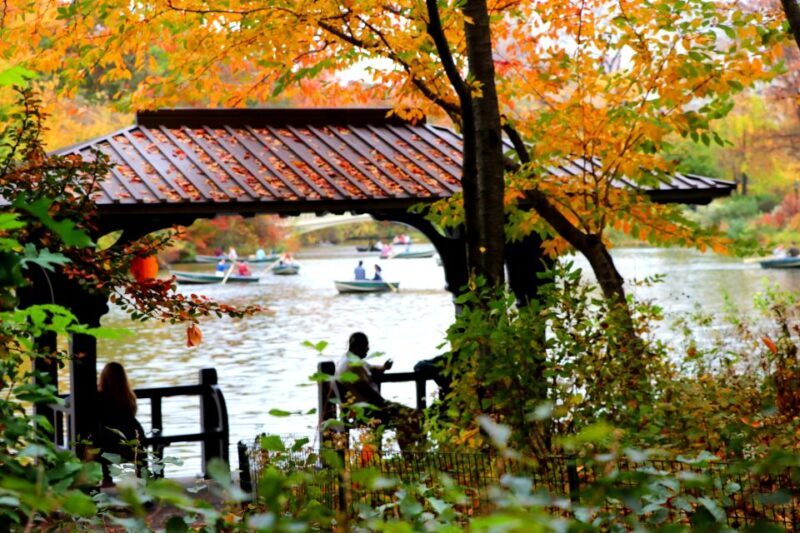New York City: Pedicab Tour Through Central Park - What’s the Value?