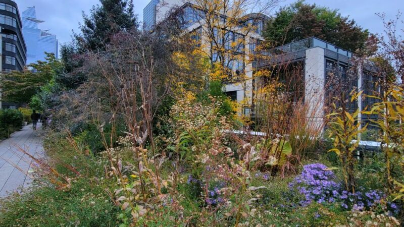 New York City: Secrets Of High Line Park Walking Tour - Practical Details and What to Expect