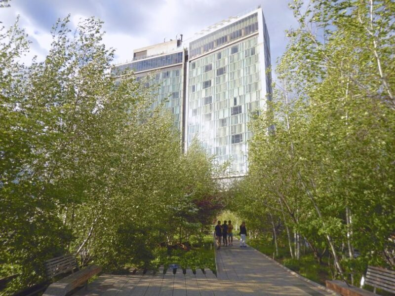 New York City: Secrets Of High Line Park Walking Tour - The Sum Up