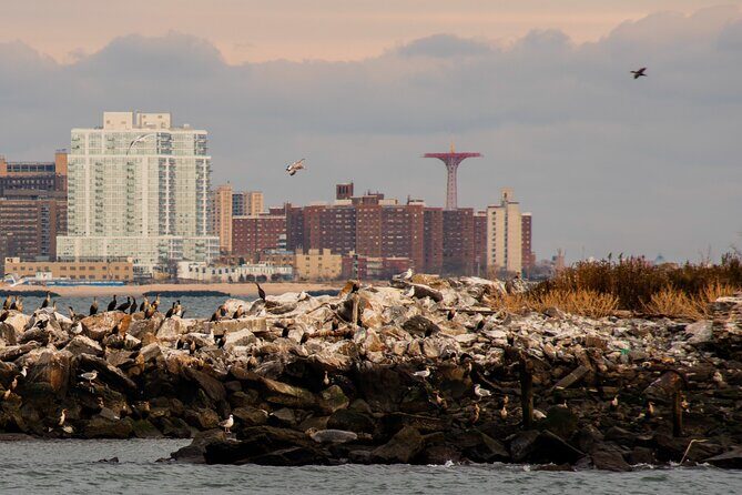 New York City Sightseeing and Seals Boat Tour - The Itinerary: Seeing the Landmarks and Wildlife