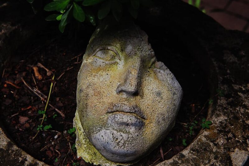 New York City: The Garden Photo Tour - A Detailed Look at What to Expect