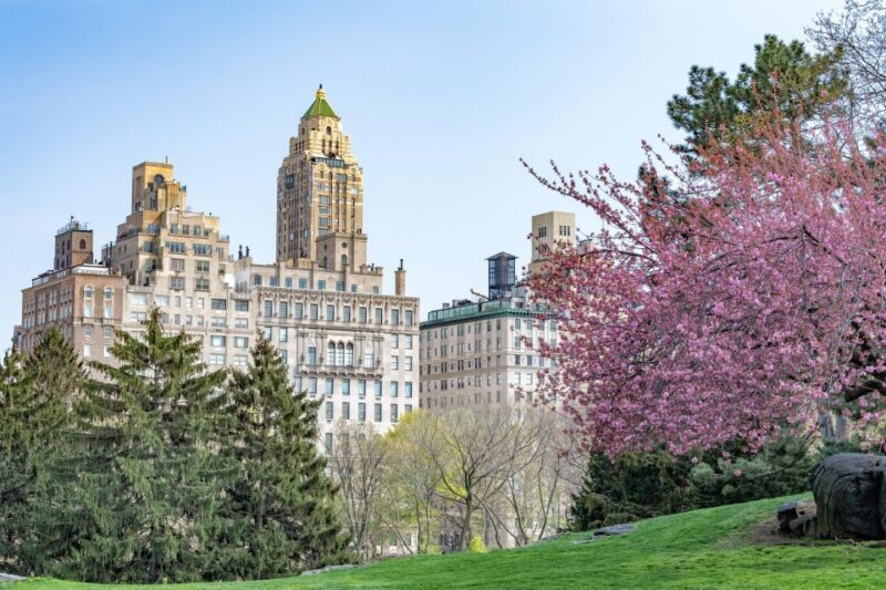 New York Edge Observation Deck & Little Island Pier 55 tour - Who Will Love This Tour?