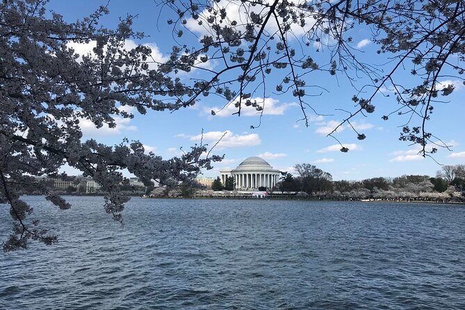 New York to Washington D.C. Spring Cherry Blossom Full-Day Tour - An Honest Look at the Tour Itinerary