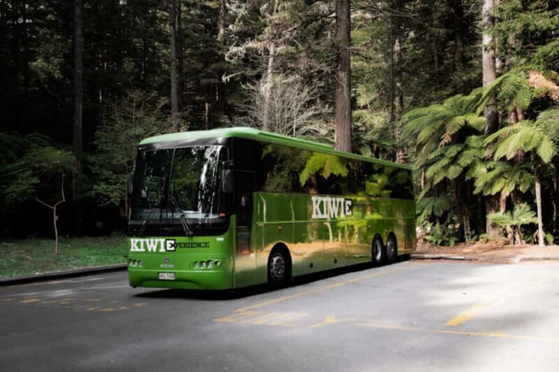 New Zealand: National Hop-On Hop-Off Pass - Why a Hop-On Hop-Off Pass Could Be Your Best Bet