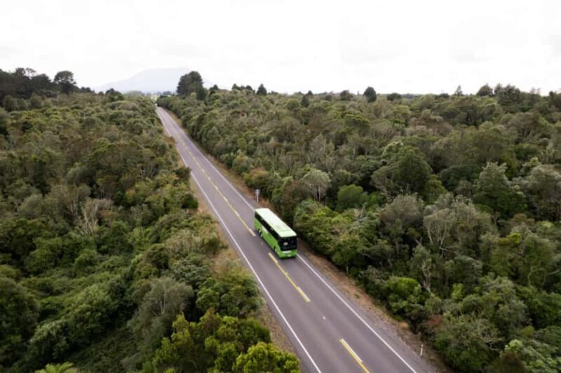 New Zealand: National Hop-On Hop-Off Pass - The Experience of Traveling with Kiwi Experience