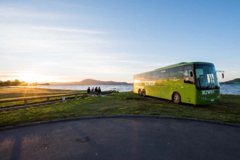 New Zealand: North Island Hop-On Hop-Off Pass - Pricing & Value