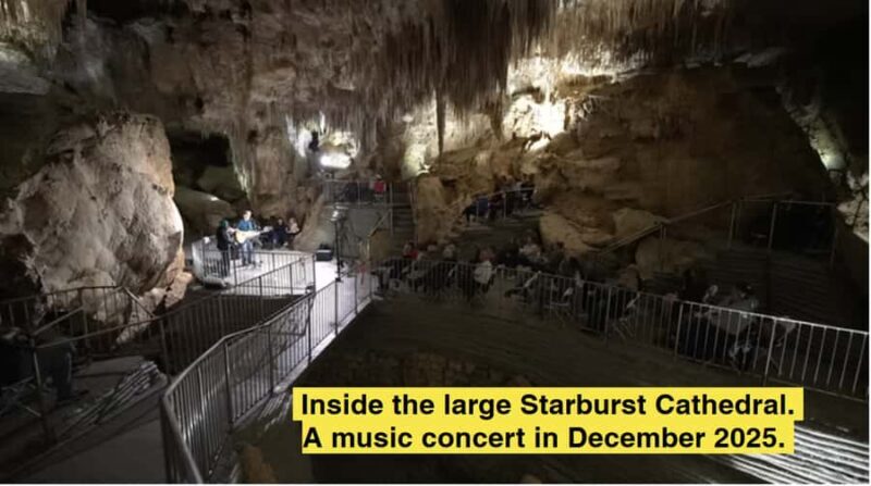 New Zealand: Starburst Cathedral in Milky Way Glowworm Cave - Why This Tour Is Worth the Price