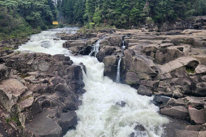 New Zealand Tauranga Tour with Transportation and Snacks - Frequently Asked Questions