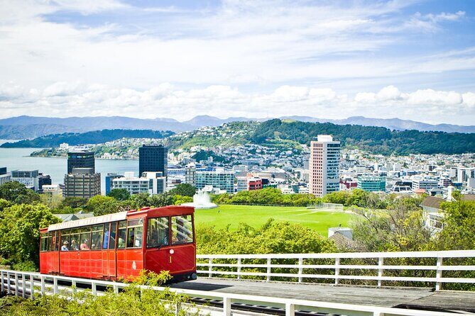 New Zealand Wellington Airport (WLG) to Wellington City Centre - Why Choose This Wellington Airport Transfer?