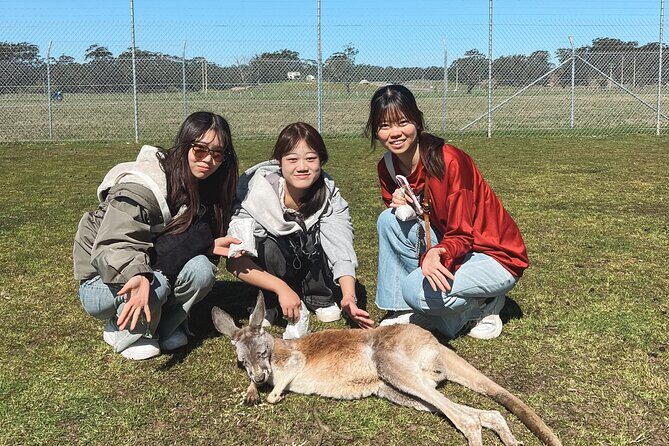 Newcastle: Animal Lovers Tour - Kangaroos, Dolphins & more! - The Itinerary Breakdown: What to Expect on This Wildlife and Coastal Day Out