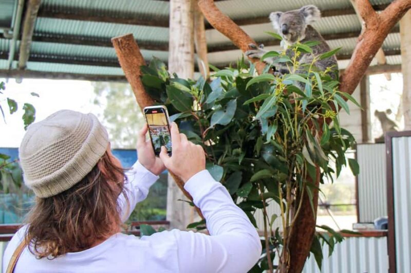 Newcastle: Animal Lovers Tour - Kangaroos, Dolphins & more! - An In-Depth Look at the Newcastle Animal Lovers Tour