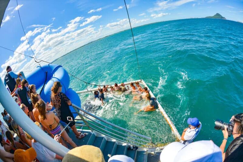 Newcastle: Animal Lovers Tour - Kangaroos, Dolphins & more! - Who Should Consider This Tour?