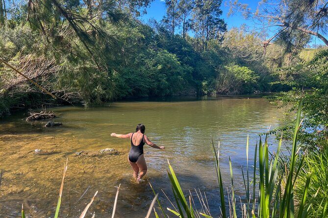 Newcastle: Country Towns River & Farm Tour with BBQ - Key Points